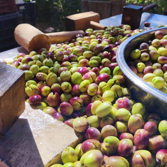 El Kırması Yeşil Zeytin: Otantik Bir Lezzetin Anatomisi