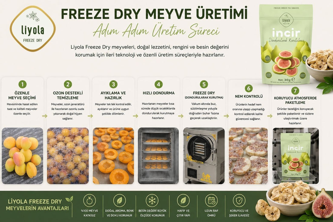Freeze Dry Meyve Üretimi Nasıl Yapılır? Adım Adım Üretim Süreci