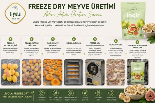 Freeze Dry Meyve Üretimi Nasıl Yapılır? Adım Adım Üretim Süreci