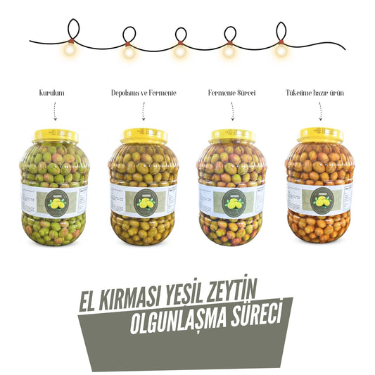 Tadıbaşka Ayvalık Cinsi İri Taneli Geleneksel El Kırması Yeşil Zeytin - 5/3/1 Lt