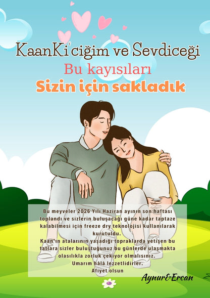 Zamansız Meyveler - Kişiye Özel Freeze Dry Hediye Paketleri